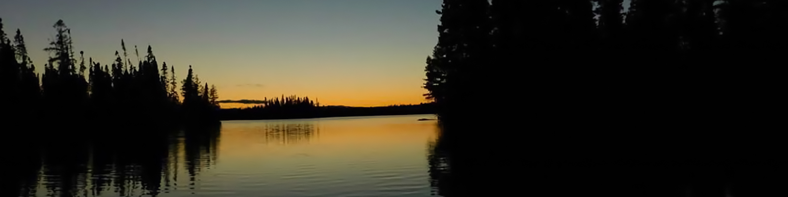 Tree-lined shores around still water in evening light.